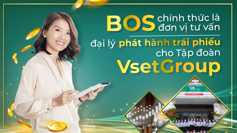 VsetGroup phát hành trái phiếu vào quý II năm 2021